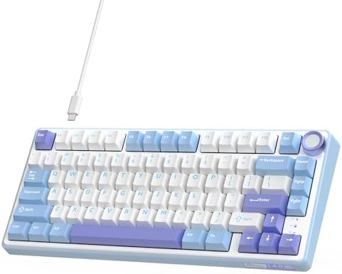 RK ROYAL KLUDGE R75 Mechanical Keyboard Wired with Volumn Knob, 75% TKL Custom Gaming Keyboard Gasket Mount RGB Backlit with Software, MDA Profile, Hot Swappable Silver Switch, PBT Keycaps (US Layout)